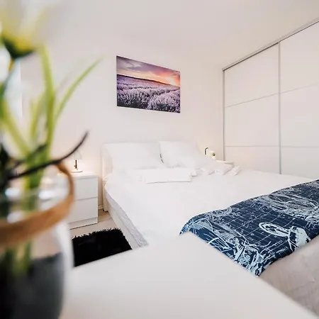 Leo Near Bridge Zadar