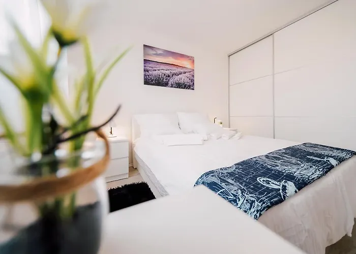 Leo Near Bridge זאדאר